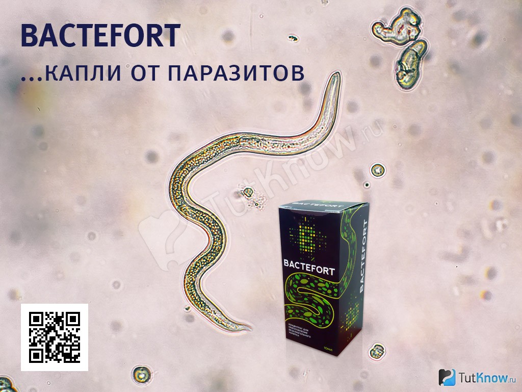 Bactefort     -  7