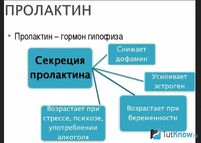 Как вывести в домашних условиях алкоголика из длительного запоя