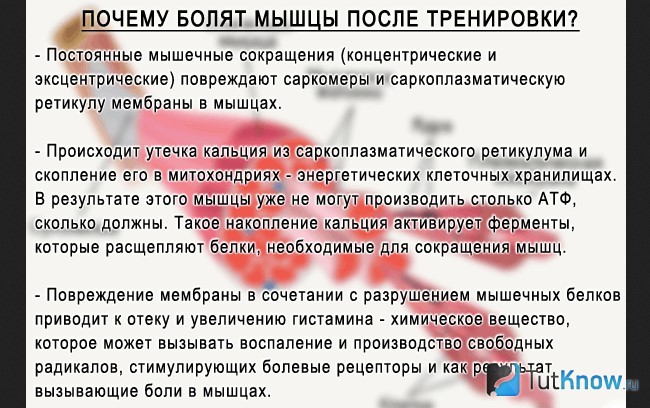 Почему болят мышцы после физических упражнений Почему болят мышцы после физических упражнений