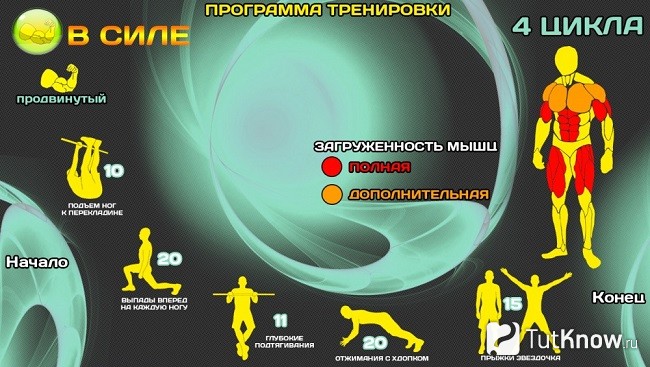 Выносливость мышц в домашних условиях Выносливость мышц в домашних условиях