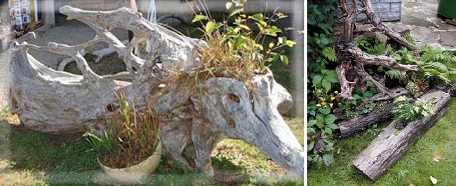 Цветочница из коряги