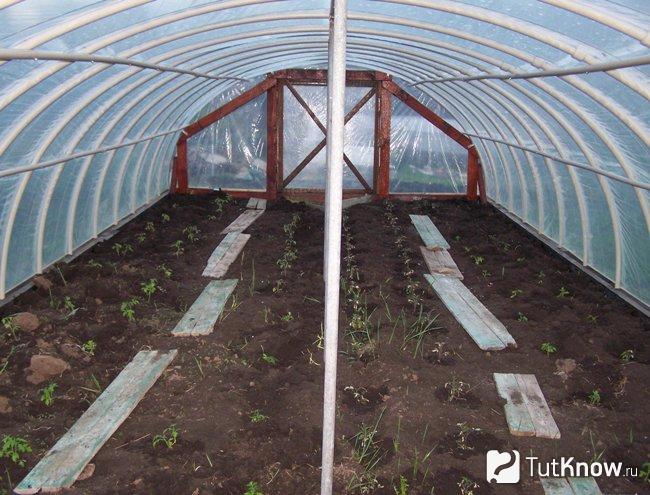 Теплица из пластиковых труб своими руками
