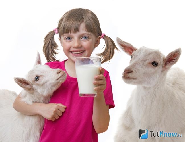 Девочка пьет козье молоко