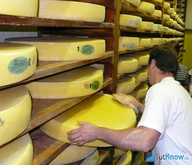 Изготовление сыра Конте