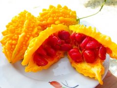 Момордика: как выращивать и ухаживать Момордика: как выращивать и ухаживать