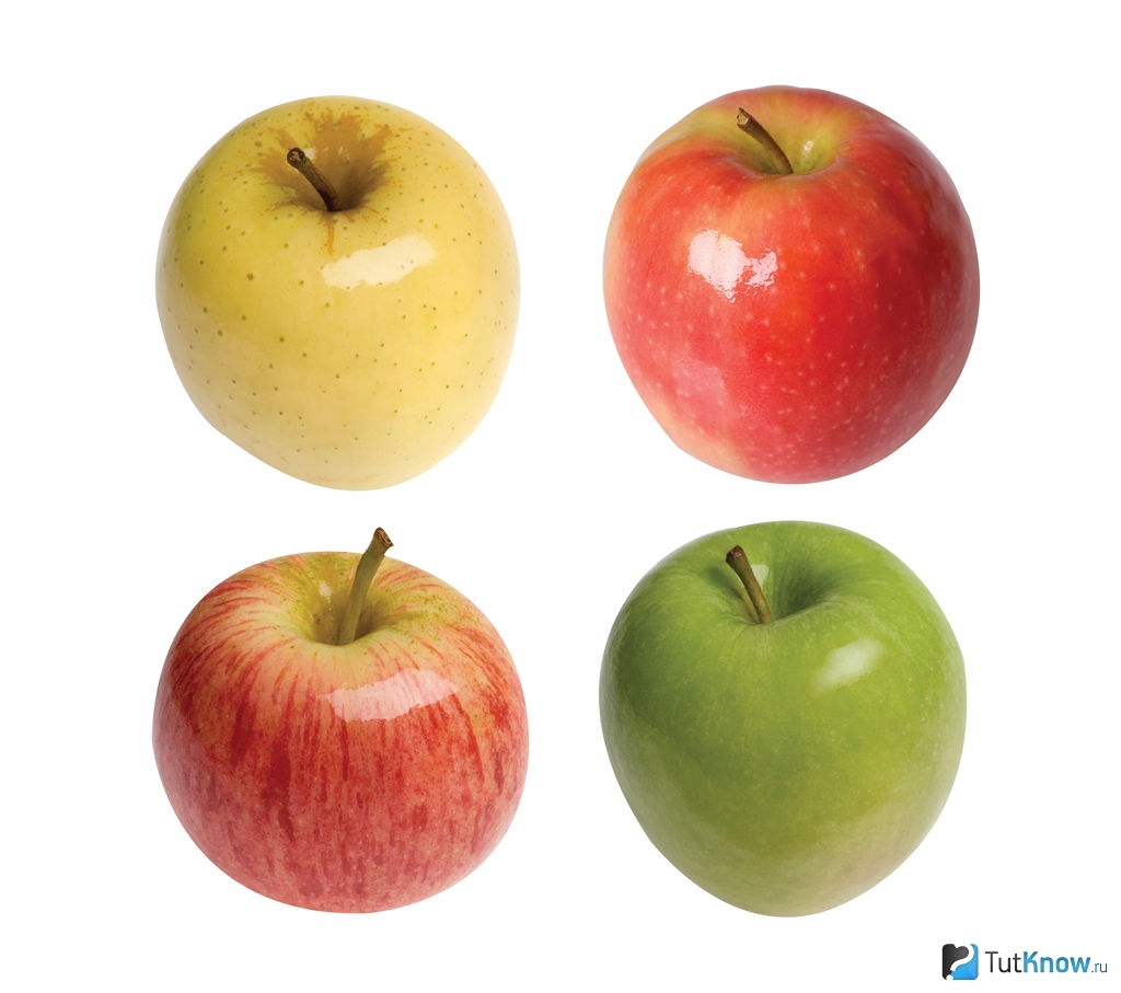 Четверо яблок. Разные яблоки. Четыре яблока. Яблоко карточка для детей. Разные сорта яблок.