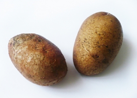 Картофель: польза и вред