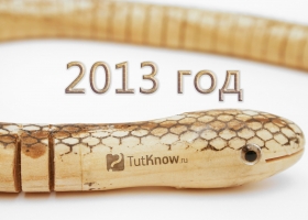 Что ожидать в 2013 год Змеи?