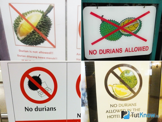 No durians - табличка запрещающая вносить дуриан в общественные места