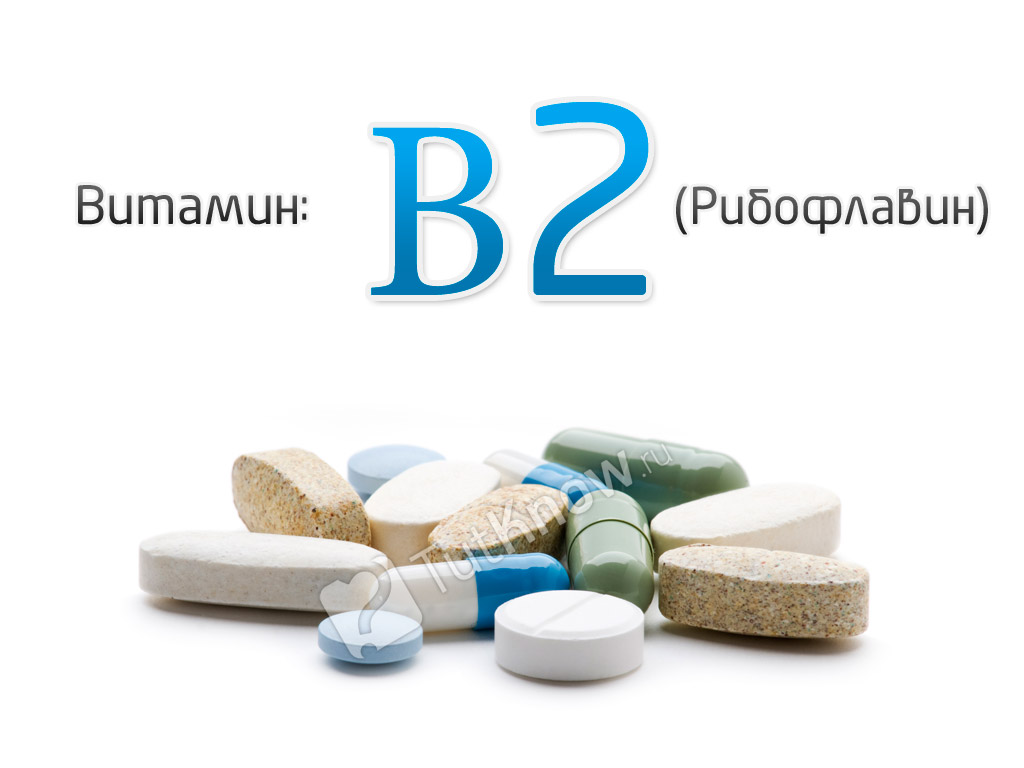 активная форма витамина b2