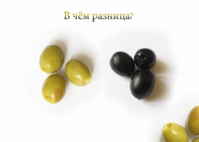 Оливки и маслины: состав и в чём разница?