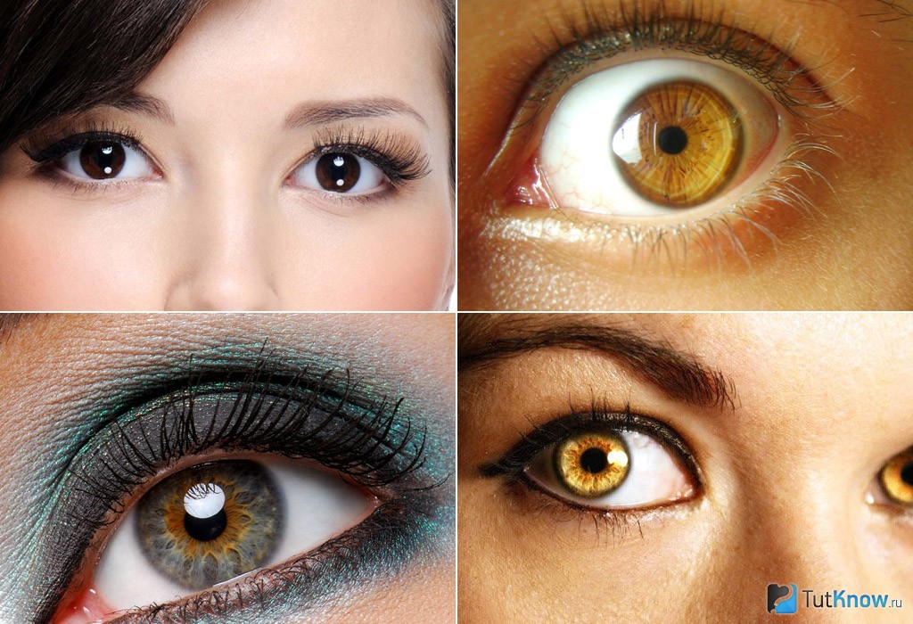 Болотные глаза: Чем определяется болотный цвет глаз?