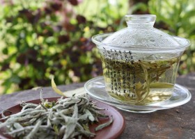 Белый чай и его свойства