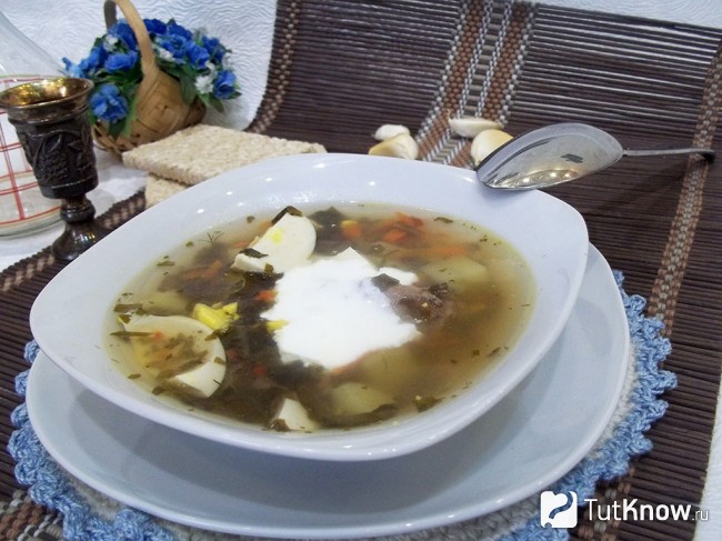 Готовый зеленый борщ