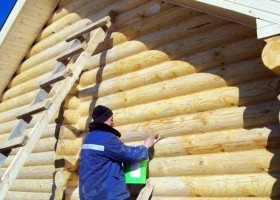 Чем обработать деревянную баню