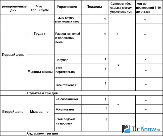 Таблица тренировок по Ментцеру 1