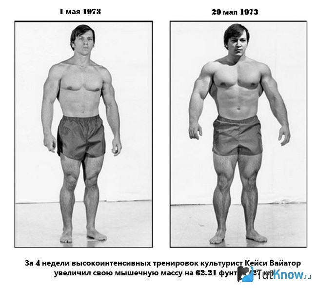 Вайатор в колорадском эксперименте