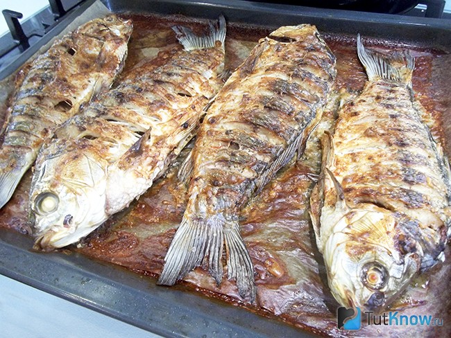Карпы запечены