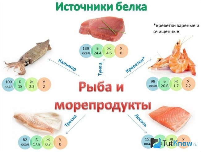 Рыба и морепродукты как источники белка