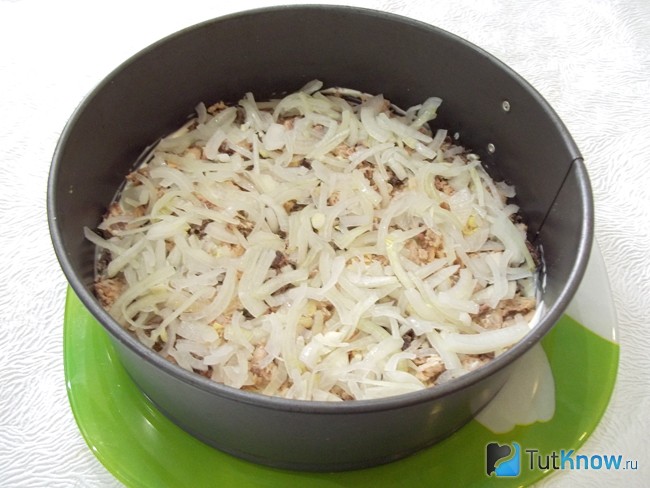 Репчатый лук нарезан полукольцами и выложен в форму салатницы