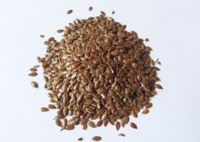 Семена льна — польза и противопоказания