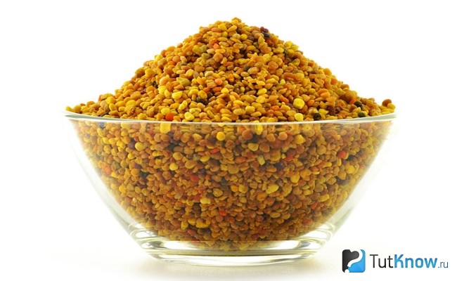 Маточное молочко, из которого добывают апилак