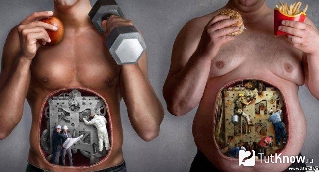 что такое дефицит энергии в бодибилдинге. Смотреть фото что такое дефицит энергии в бодибилдинге. Смотреть картинку что такое дефицит энергии в бодибилдинге. Картинка про что такое дефицит энергии в бодибилдинге. Фото что такое дефицит энергии в бодибилдинге