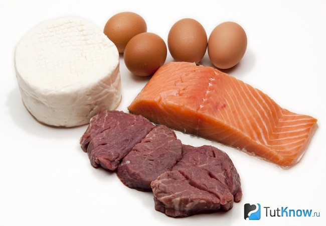 Мясо, рыба, яйца, молочные продукты содержат белок