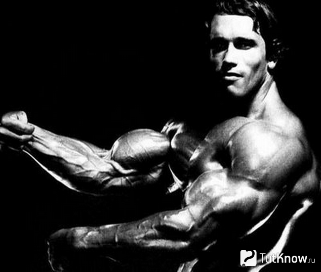 Арнольд Шварценеггер