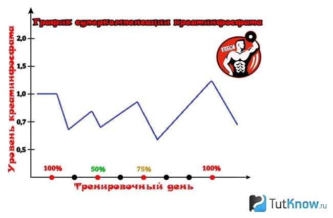 Плинтович схема тренировок