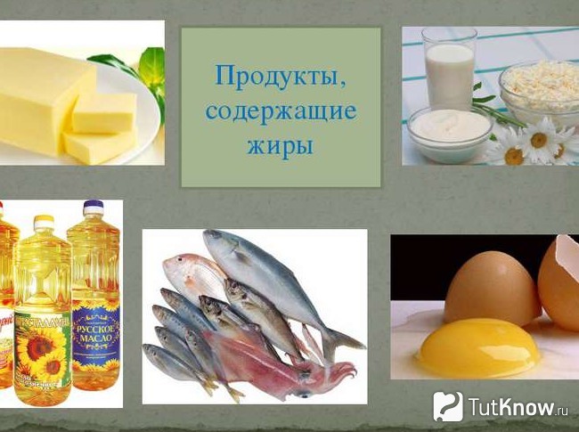 В каких продуктах содержатся жиры