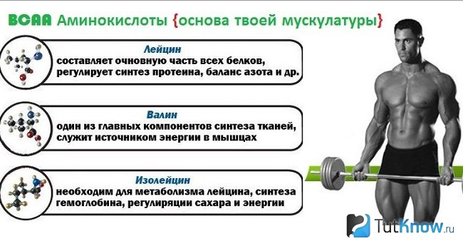 Роль каждого компонента ВСАА в организме бодибилдера