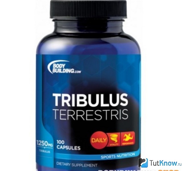 Tribulus terrestris в капсулах