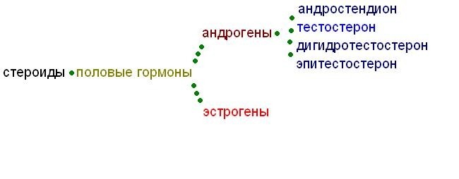 Схема влияния стероидов на уровень гормонов