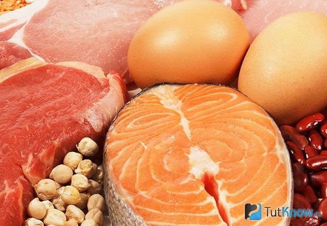 Продукты, содержащие белок