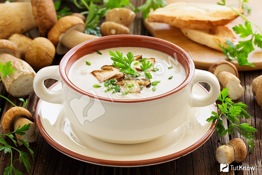 10 вкусных супов из свежих и сушёных белых грибов