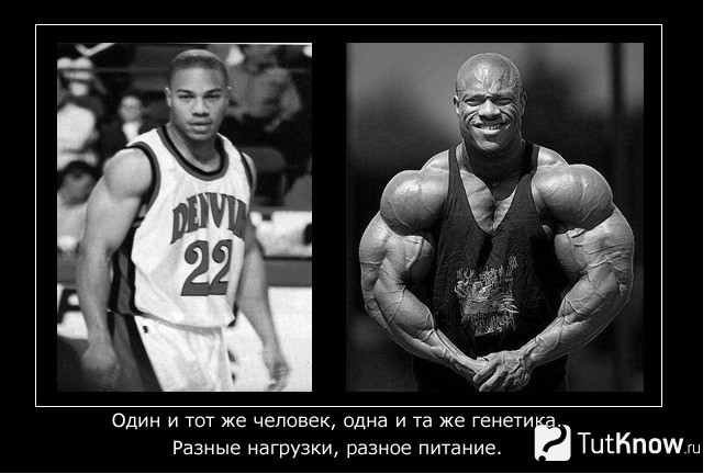 Сравнение Ронни Колемана в юности и в пике формы