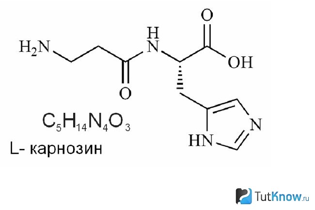 Л формула. Пептид карнозин. Карнозин формула. Ансерин формула. Дипептид карнозин.