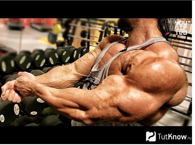Спортсмен демонстрирует мускулы рук и плеч