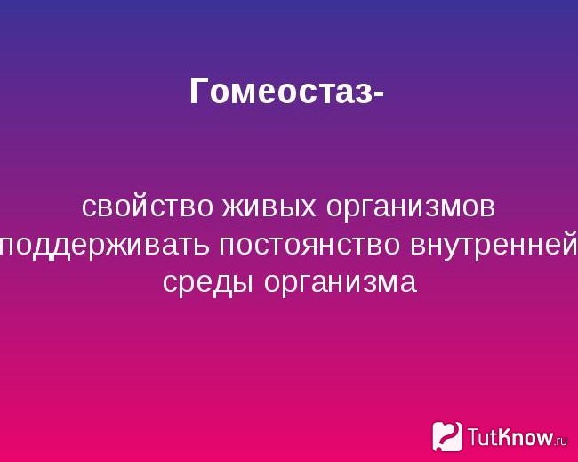 Определение гомеостаза