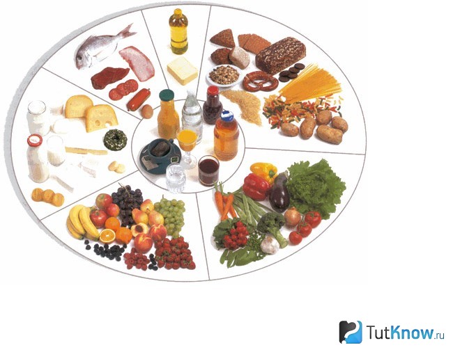 Схематическое изображение продуктов для составления рациона