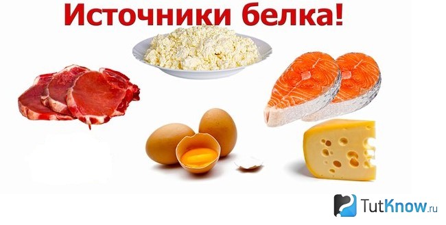 Продукты, содержащие полезные белок