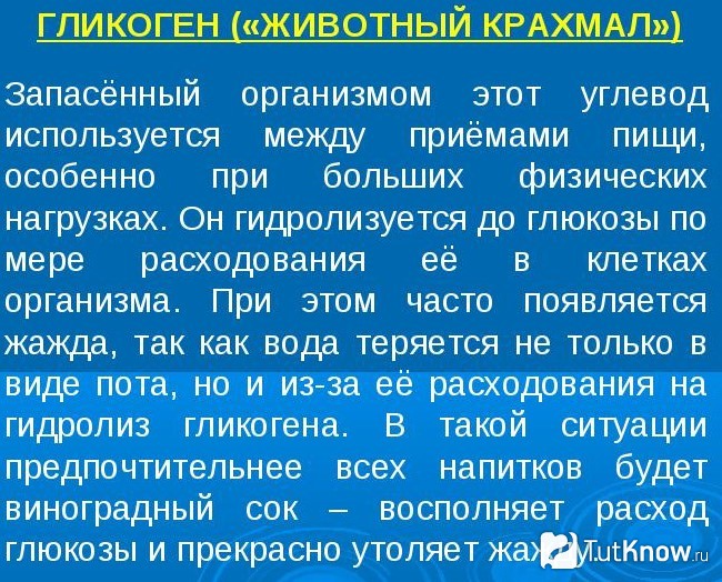 Пояснение значения гликогена в организме