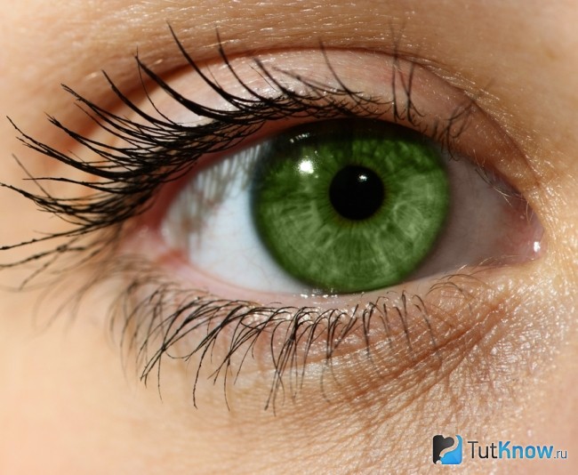 Легкий макияж для девушки с глазами зеленого цвета