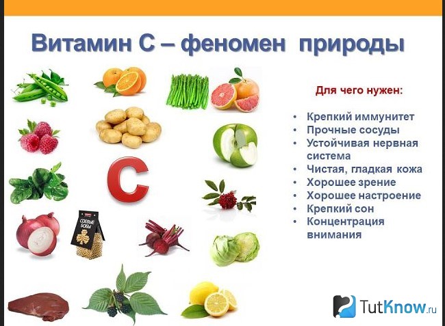 Продукты, содержащие витамин С и пояснение полезных свойств
