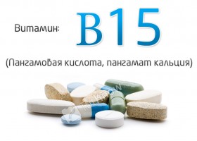 Витамин B15 в бодибилдинге