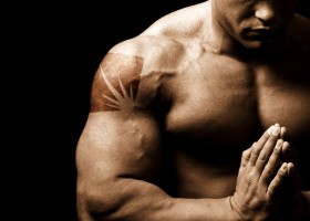 Почему растут мышцы в бодибилдинге?