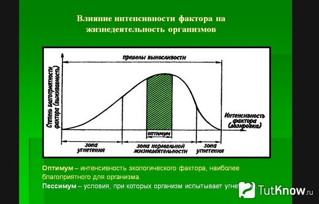 На рисунке изображена зависимость интенсивности жизнедеятельности организма от количества