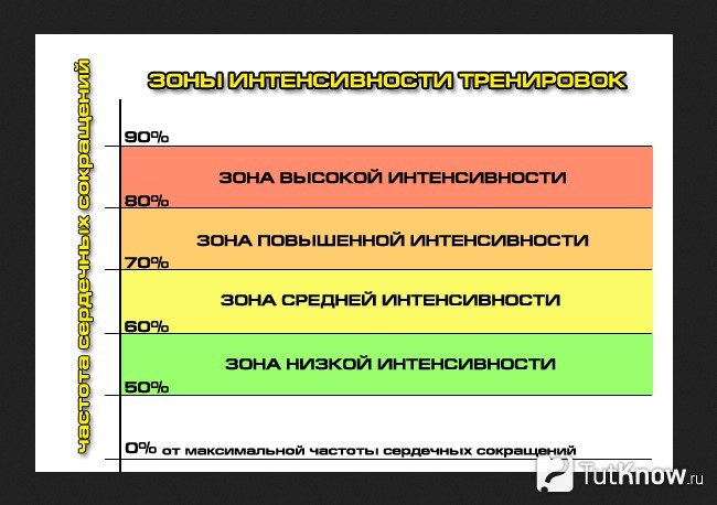 Схематическое изображении ЧСС в разных зонах интенсивности