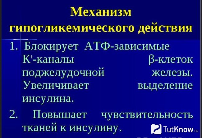 Механизм гипогликемического действия